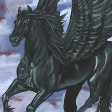 Horse Spirit Wisdom Cards